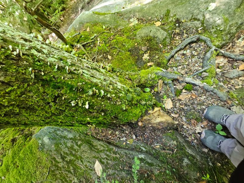 Trail Difficulty and What to Expect on Your Hike