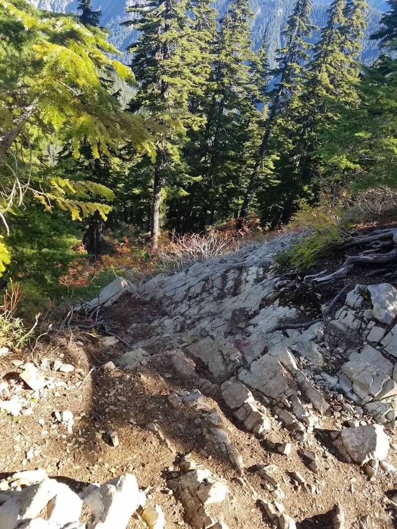 Trail Distance and Elevation Gain You Should Know Before Going