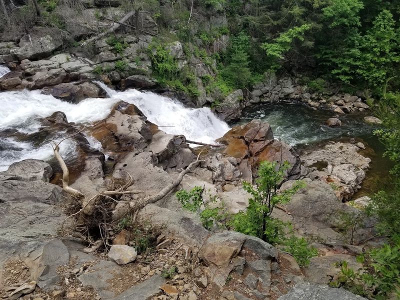 Trail Etiquette and Leave No Trace Principles