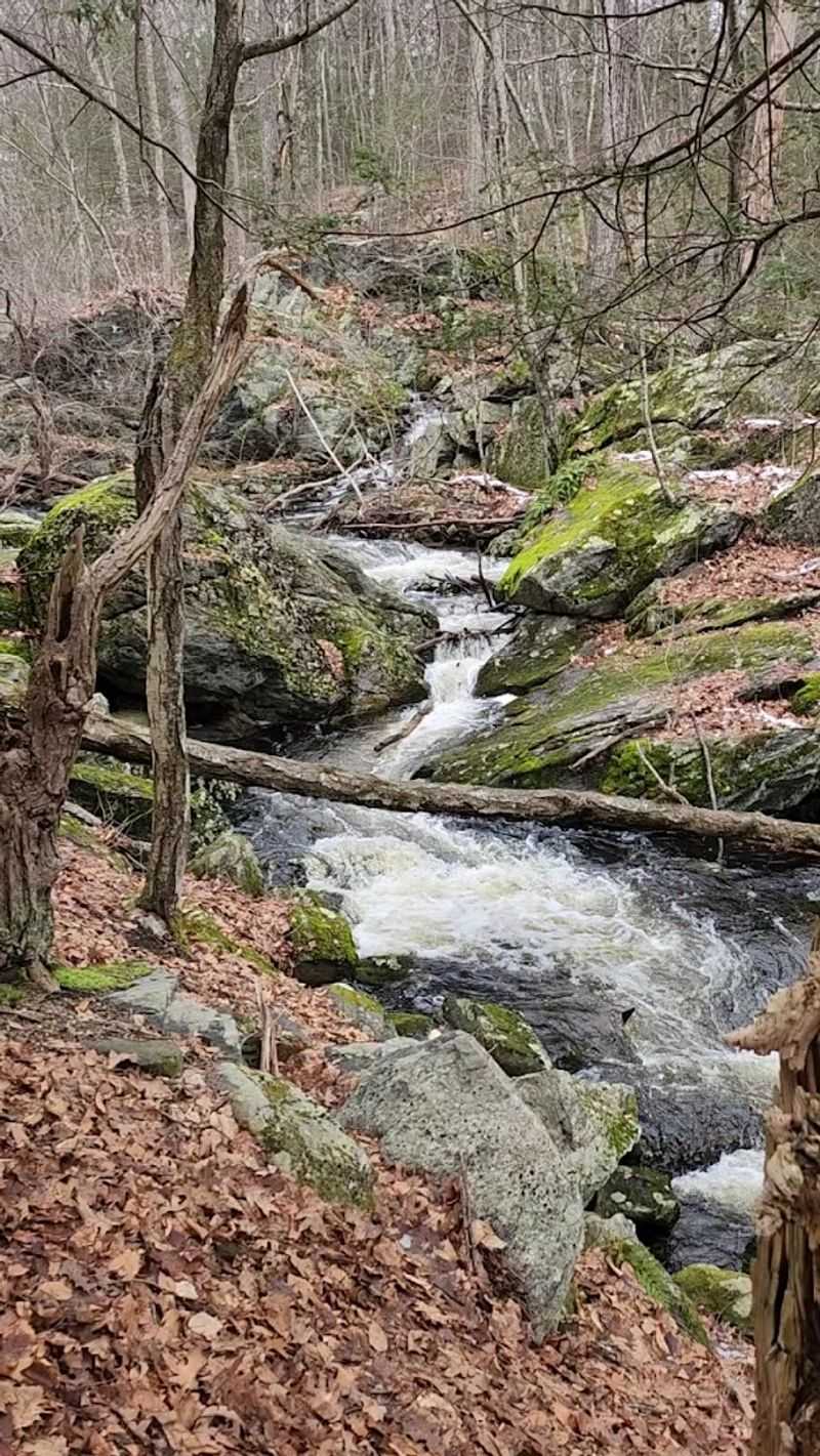 Trail Hours and Best Times to Visit