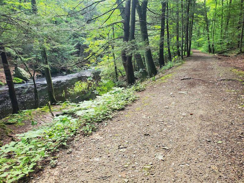 Trail Length and Difficulty Level You Can Expect