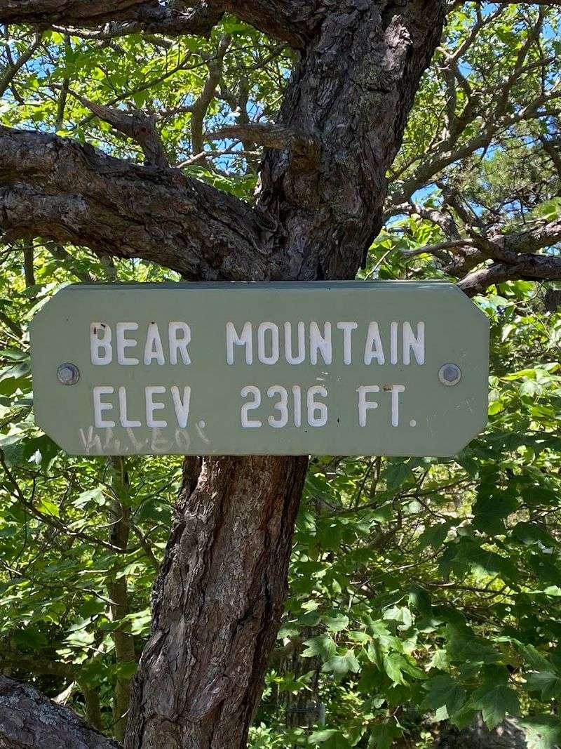 Trail Length and Elevation: Know What You Are Getting Into