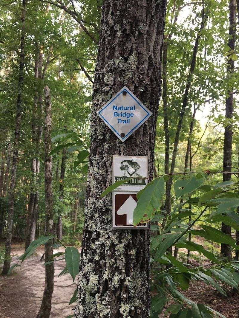 Trail Markings and Navigation: Finding Your Way Without Stress Trail Markings and Navigation: Finding Your Way Without Stress