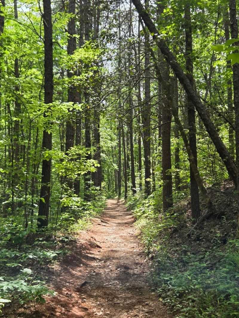 Trail Overview: What to Expect on the Hike In