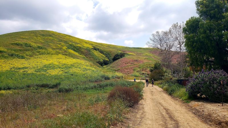 Trail Running Routes That Make Fitness Feel Like an Adventure Trail Running Routes That Make Fitness Feel Like an Adventure