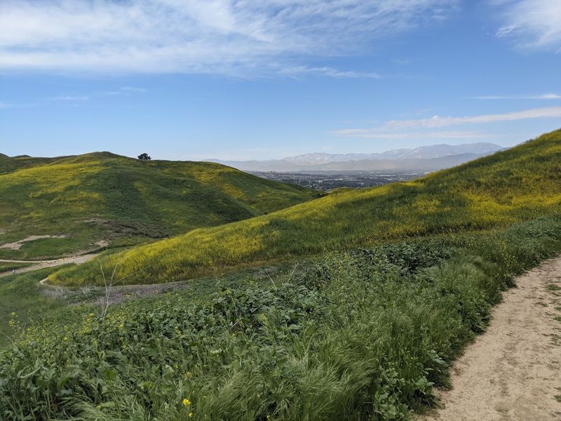Trail Running Routes With Serious Elevation Trail Running Routes With Serious Elevation