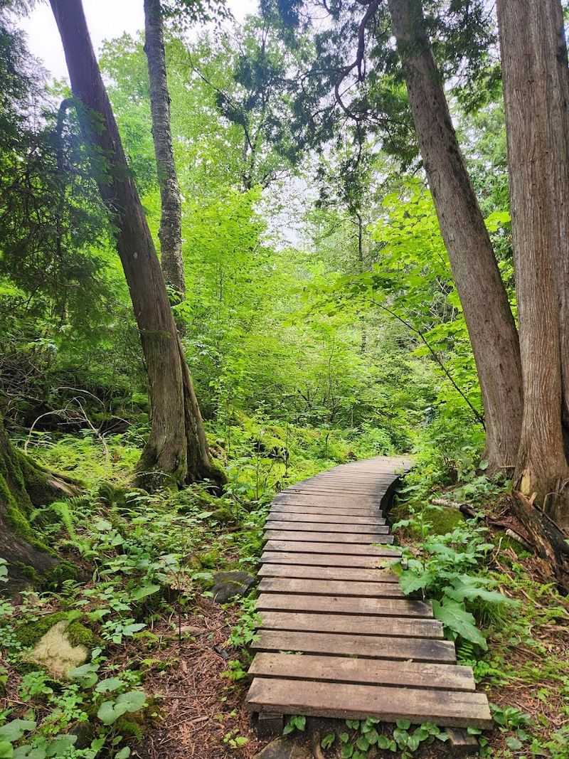 Trail System With Routes for Every Skill Level