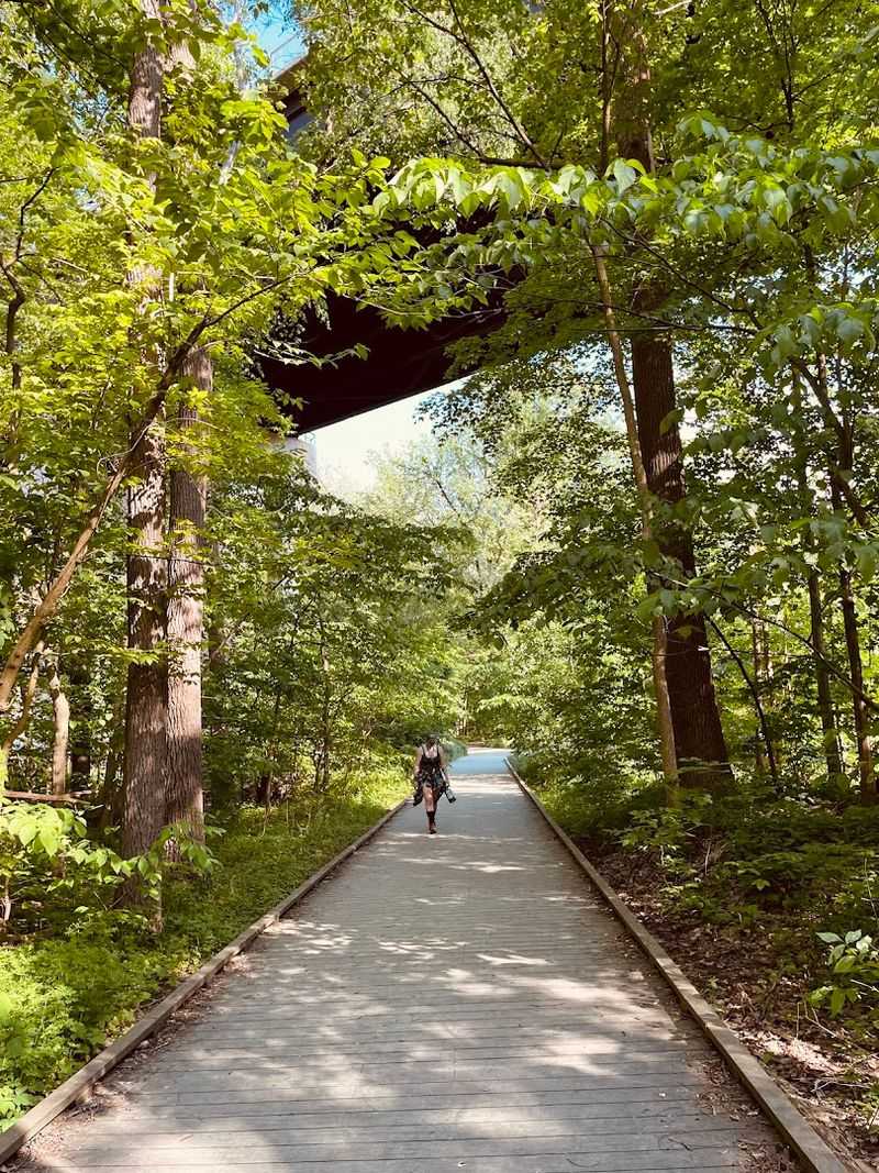 Trails Designed for All Skill Levels