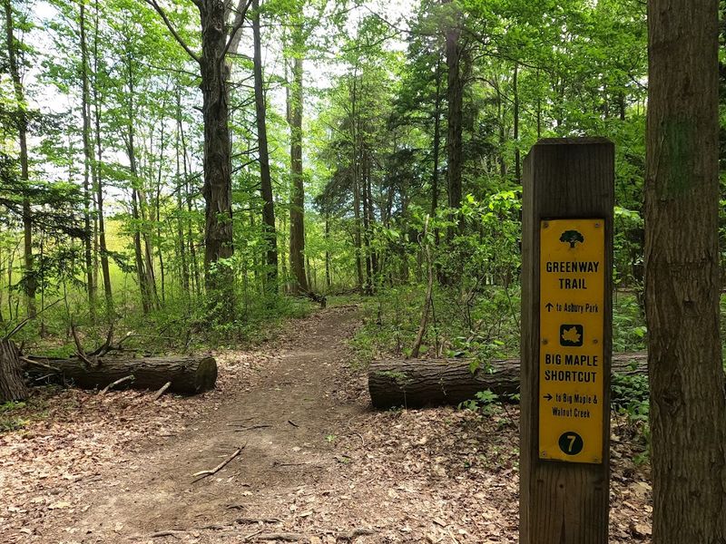 Trails Marked With QR Codes Turn Your Hike Into a Learning Experience Trails Marked With QR Codes Turn Your Hike Into a Learning Experience