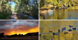 Travelers are starting to discover this breathtaking Arizona state park
