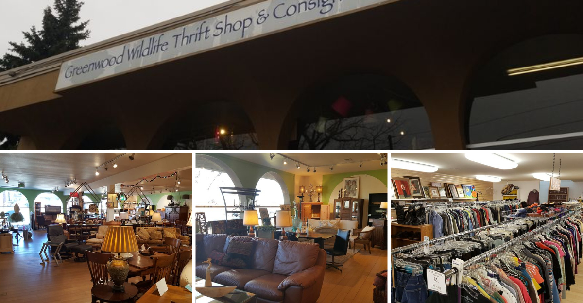 Treasure Hunters Can Spend Entire Days Exploring This Massive Colorado Secondhand Store Packed With Unexpected Finds