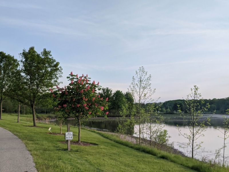 Tree Signs That Turn a Walk Into an Outdoor Classroom