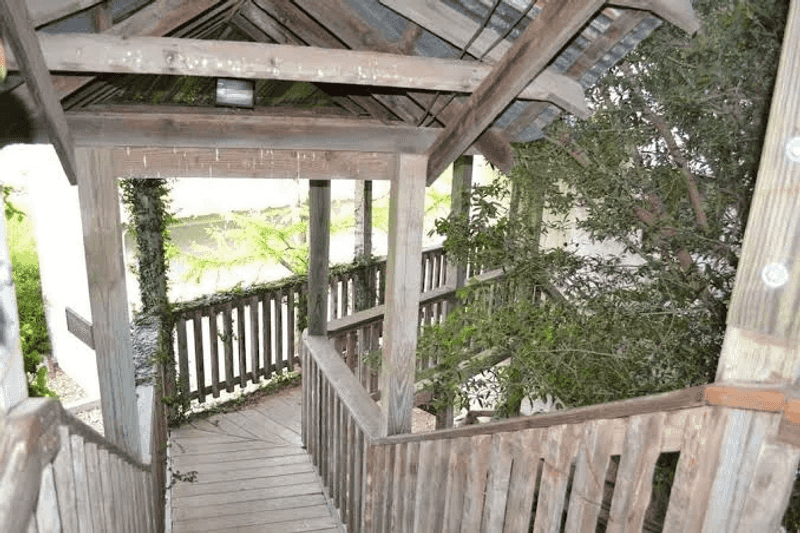 Treetop Views That Feel Like a Dream