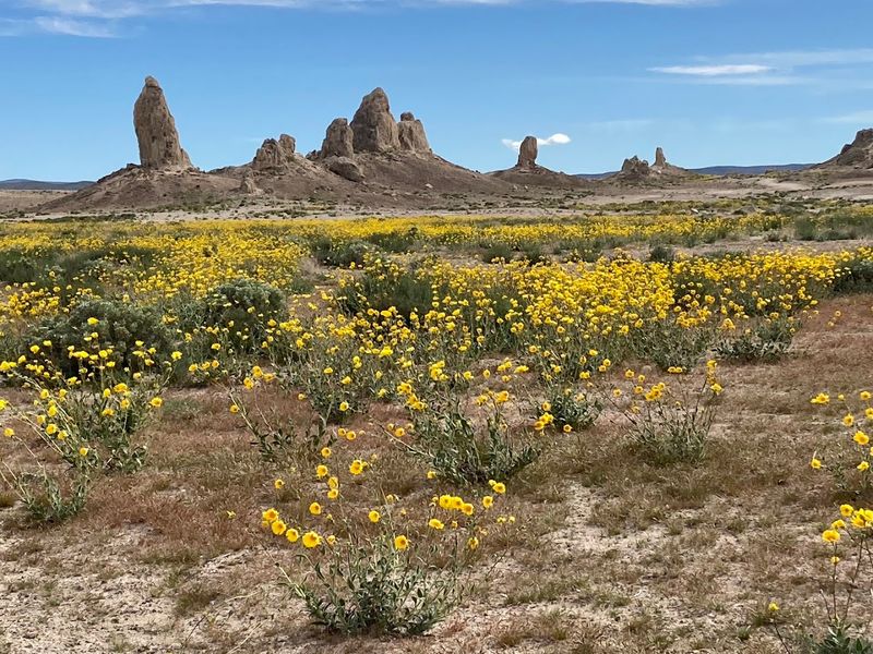 Trona Pinnacles – Ridgecrest, California
