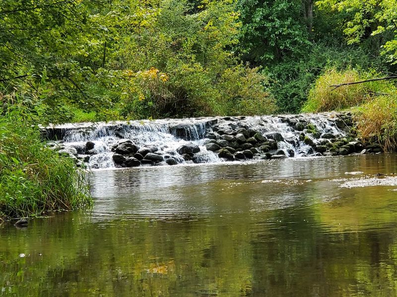 Trout Fishing Along the Little Elkhart River