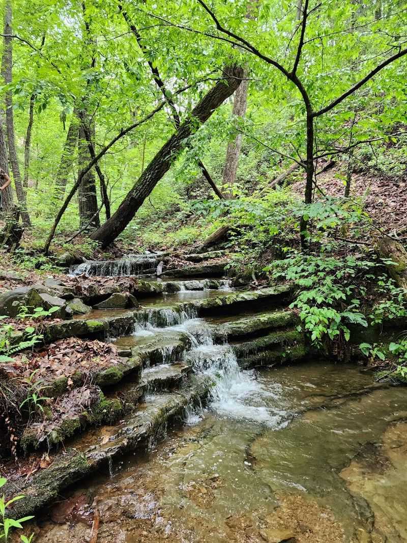 Trout Fishing in Crystal-Clear Streams