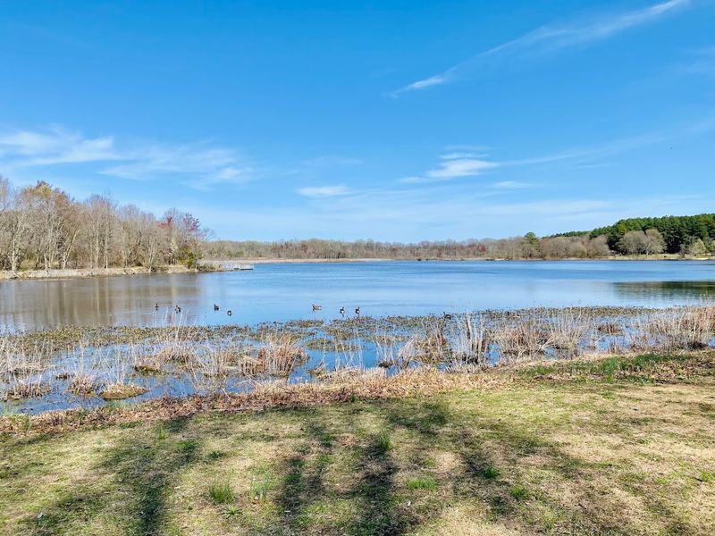 Tuckahoe State Park – Ridgely, Maryland Tuckahoe State Park – Ridgely, Maryland
