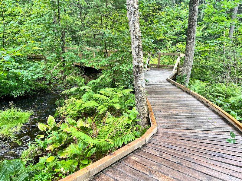 Two Miles of Trails Through Stunning Ecosystems