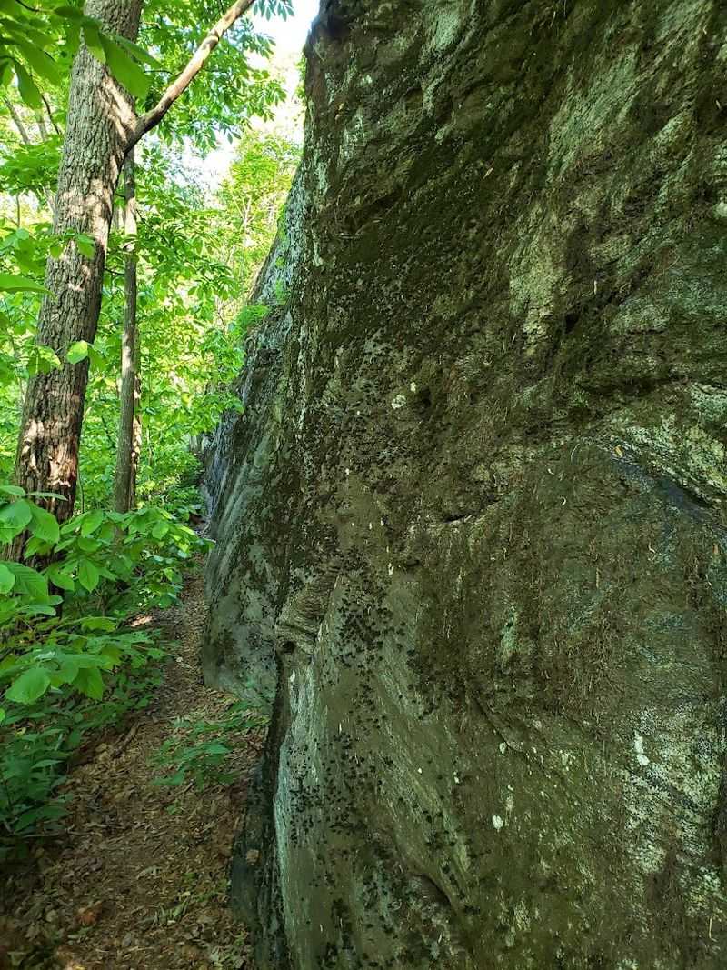 Two Trails, Two Totally Different Adventures