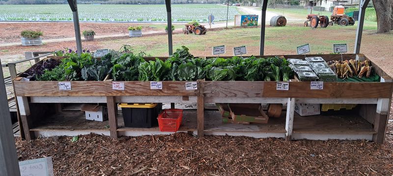 Unbeatable Prices That Make Organic Accessible