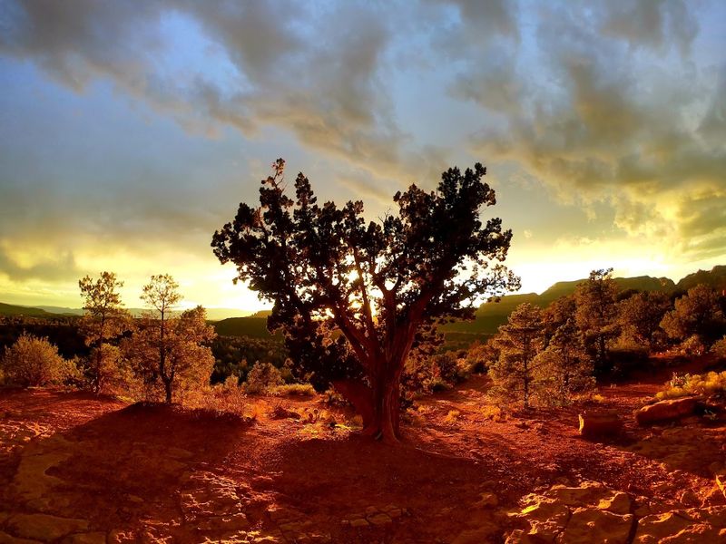 Unforgettable Sunset Views That Rival Any Vista in the Southwest Unforgettable Sunset Views That Rival Any Vista in the Southwest