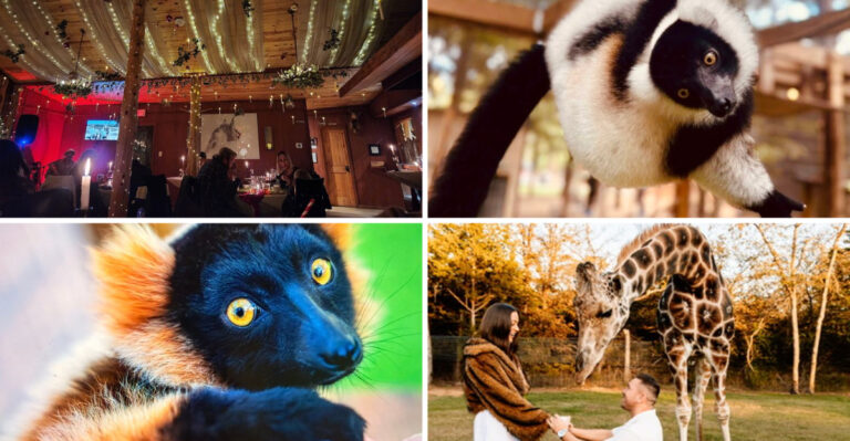 Unique Texas Restaurant Where You Can Enjoy A 5 Course Feast and Pet Exotic Animals