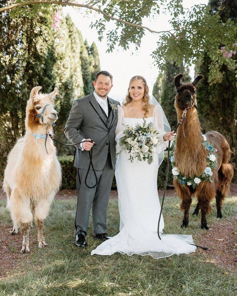 Unique Wedding and Event Experiences