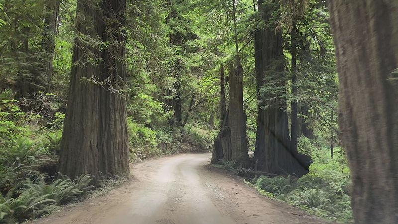 Unpaved Road Charm That Keeps It Wild