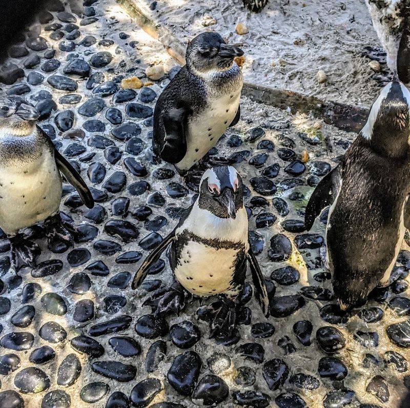Up-Close Animal Encounters That Go Beyond the Ordinary Up-Close Animal Encounters That Go Beyond the Ordinary