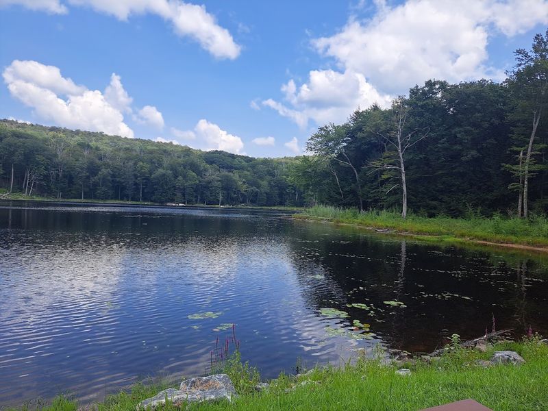 Upper Goose Pond Cabin - A Thru-Hiker's Dream