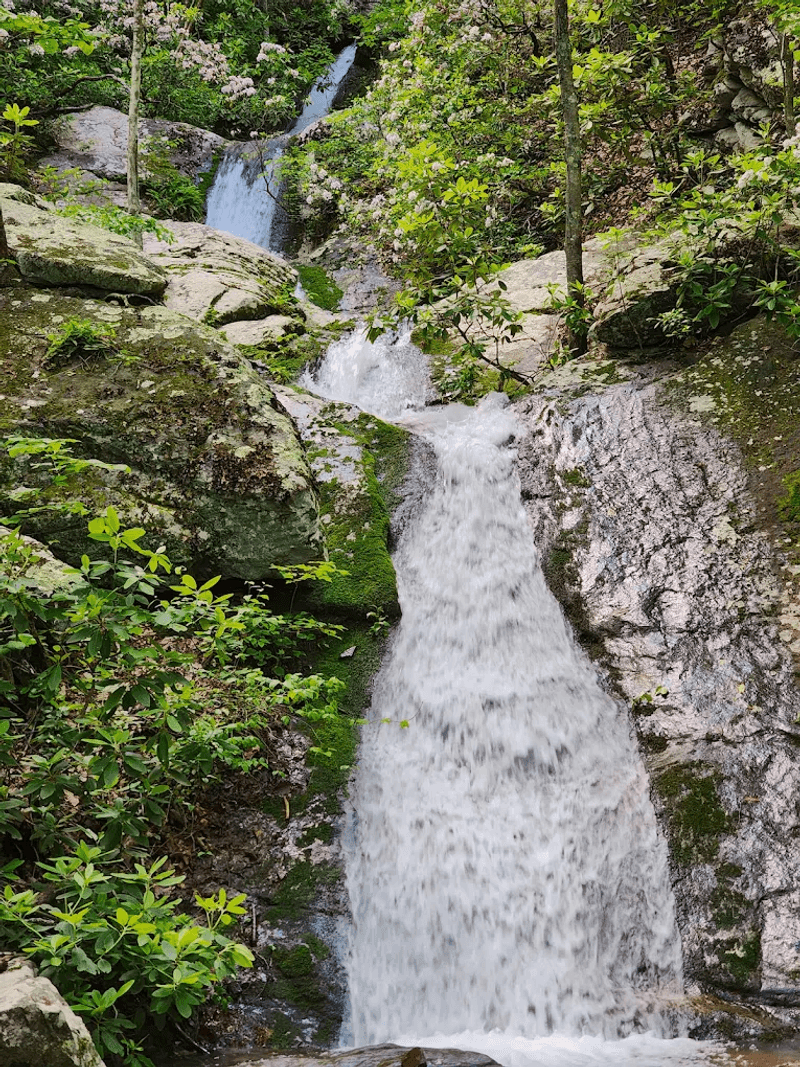 Upper Waterfall: A Dramatic Cascade Hidden in the Forest