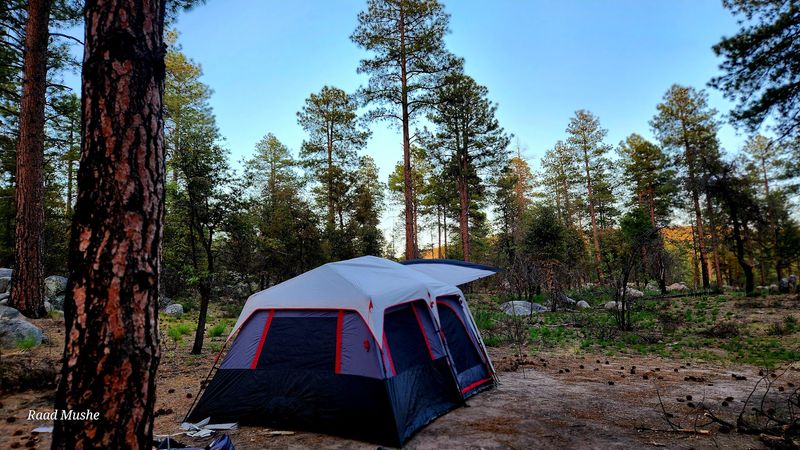Upper Wolf Creek Campground - Prescott, Arizona