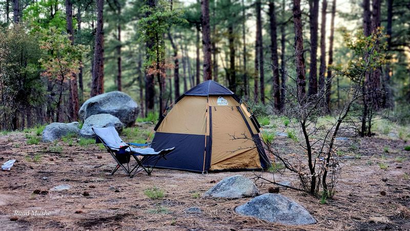 Upper Wolf Creek Campground - Prescott National Forest, Arizona