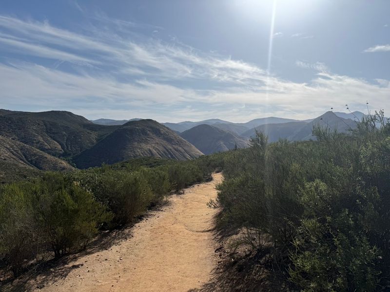 Using AllTrails and Navigating the Route