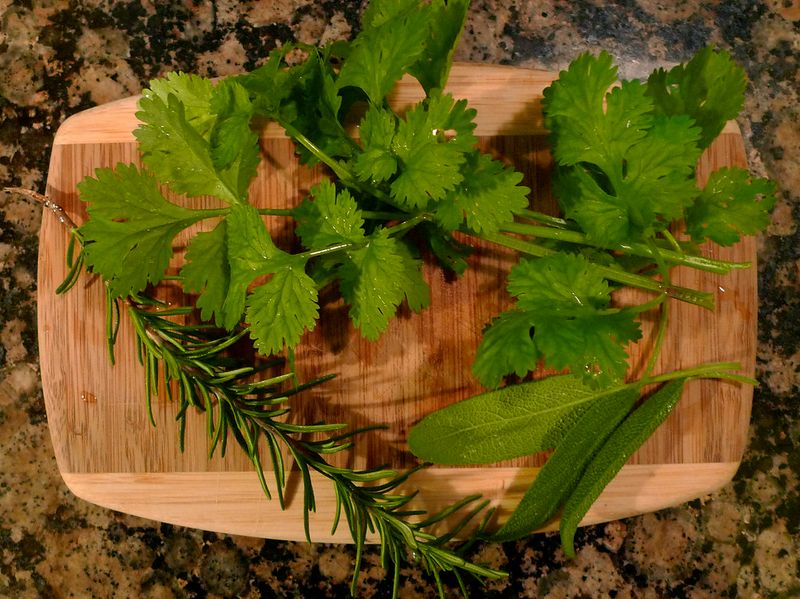 Using fresh herbs from the garden Using fresh herbs from the garden