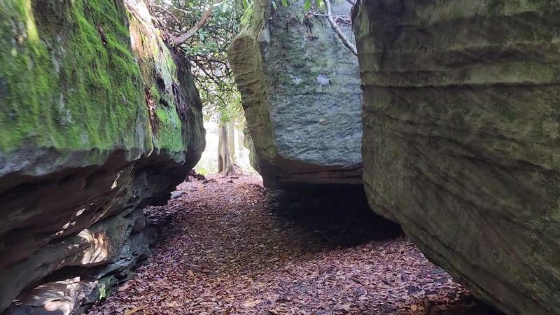 Vandalism and Preserving This Natural Treasure