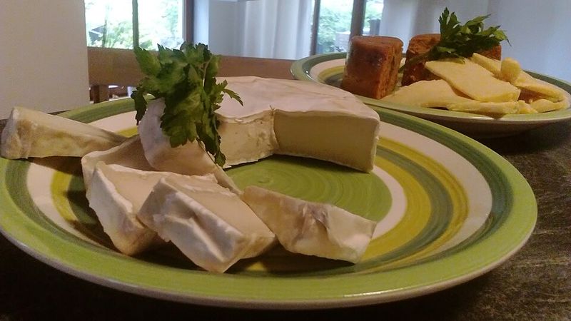 Vegan cheese