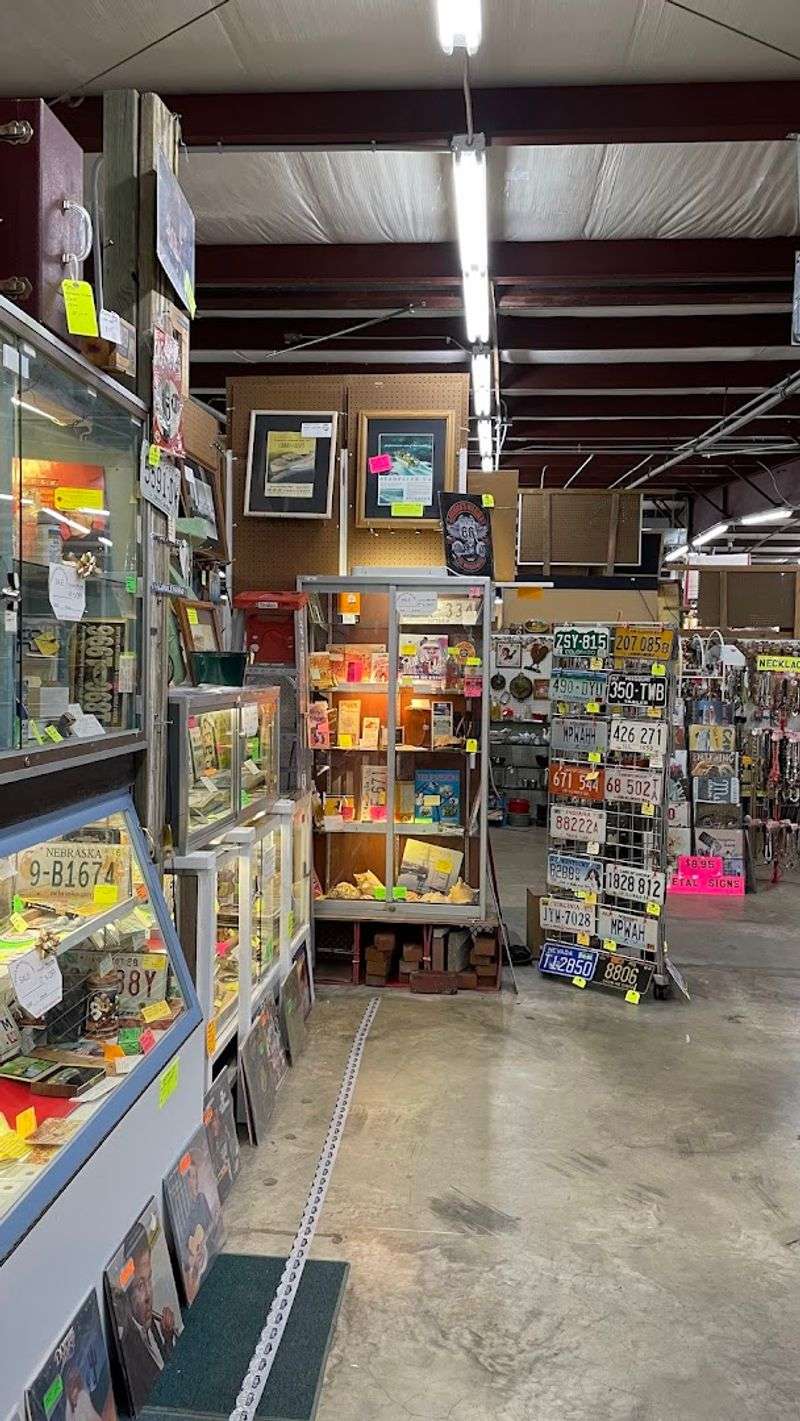 Vinyl Records for Music Lovers on the Road