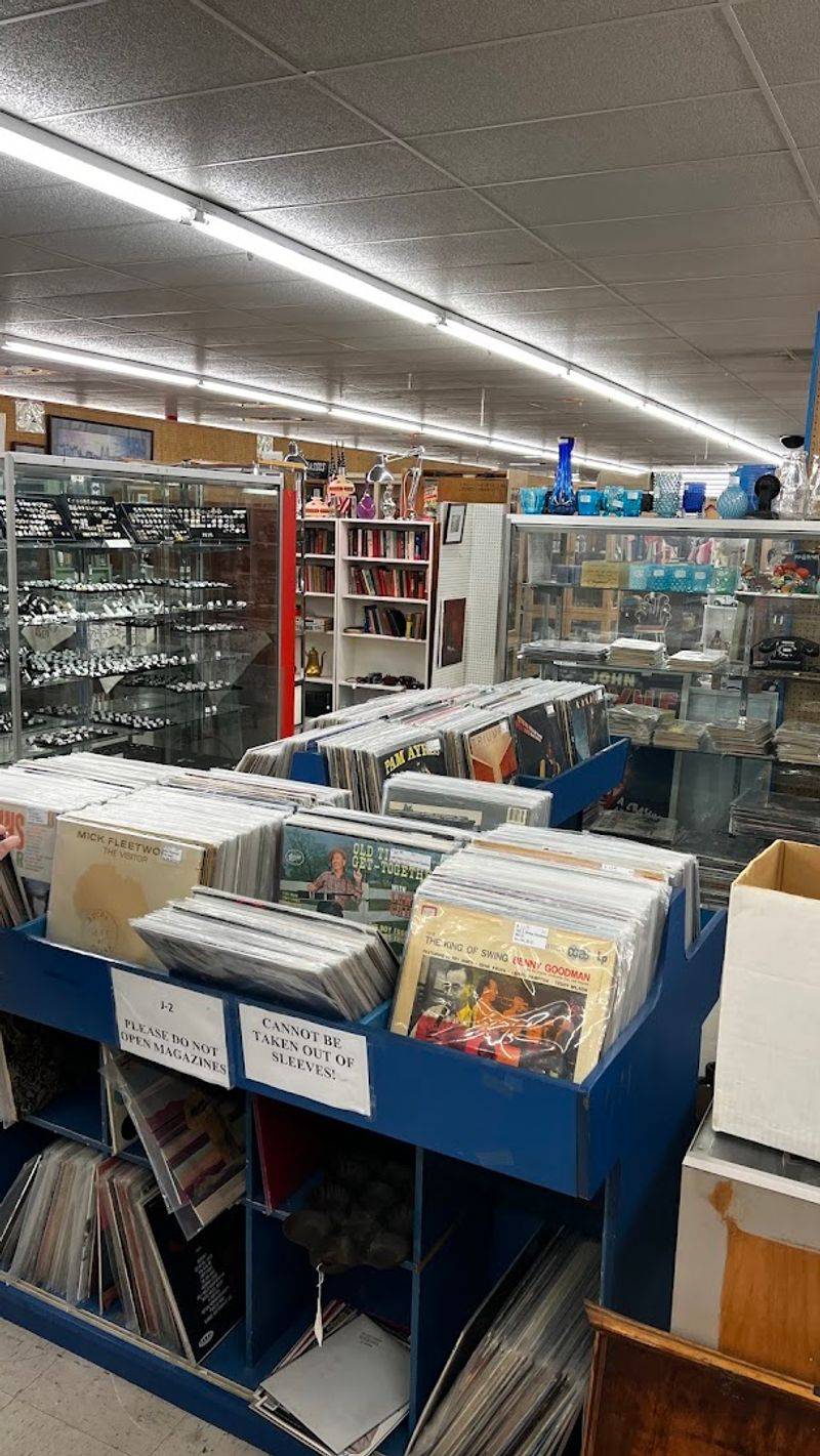 Vinyl Records for the Music Lover in You Vinyl Records for the Music Lover in You