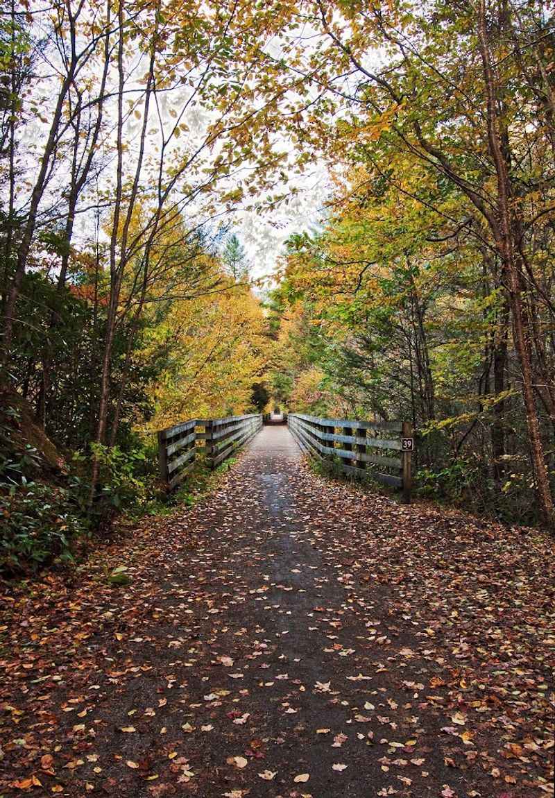 Virginia Creeper Trail Adventures for Everyone