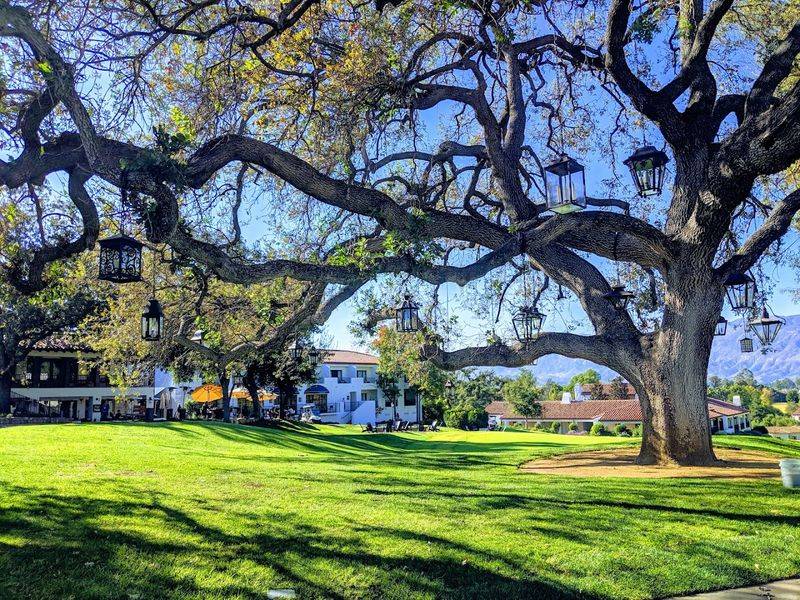 Visit Libbey Park and Its Beautiful Rose Garden Visit Libbey Park and Its Beautiful Rose Garden