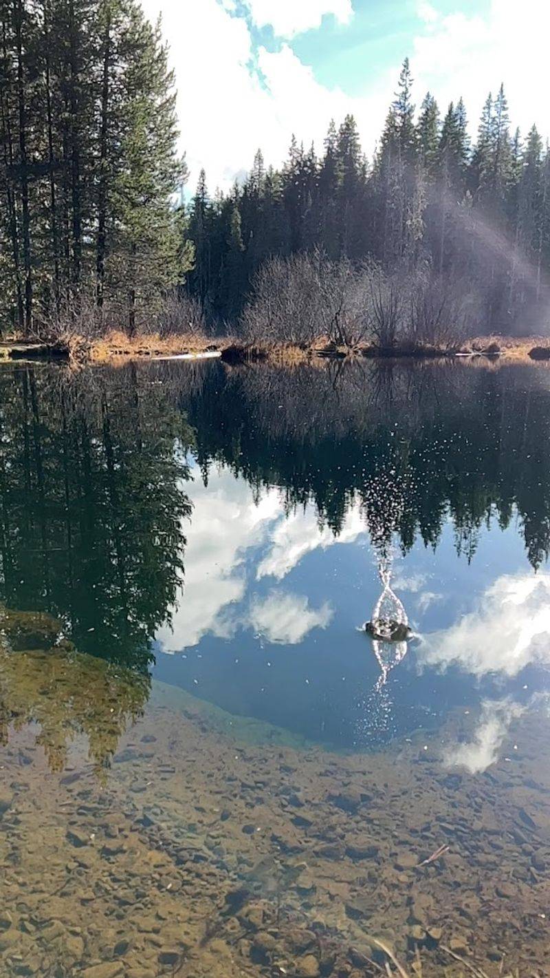 Visiting Timothy Lake While You Are in the Area