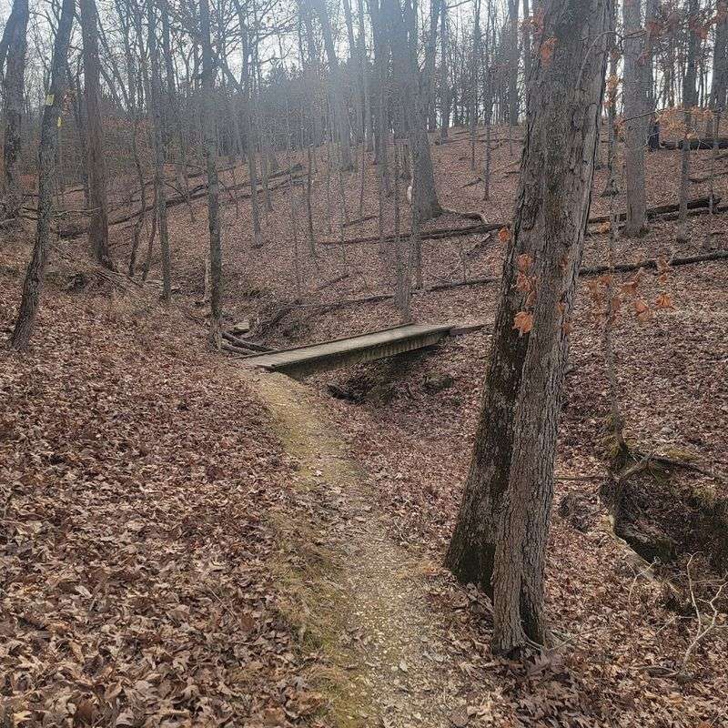 Visiting the Pawpaw House Historic Site