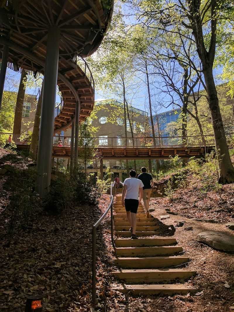 Volunteer Opportunities That Let You Give Back to the Forest Volunteer Opportunities That Let You Give Back to the Forest