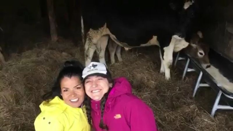 Volunteer Opportunities to Give Back Hands-On