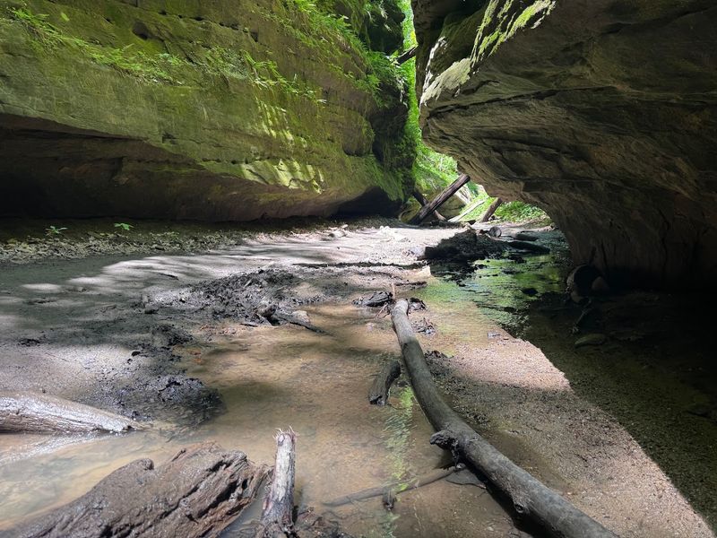 Wading Through Streams and Natural Waterfalls
