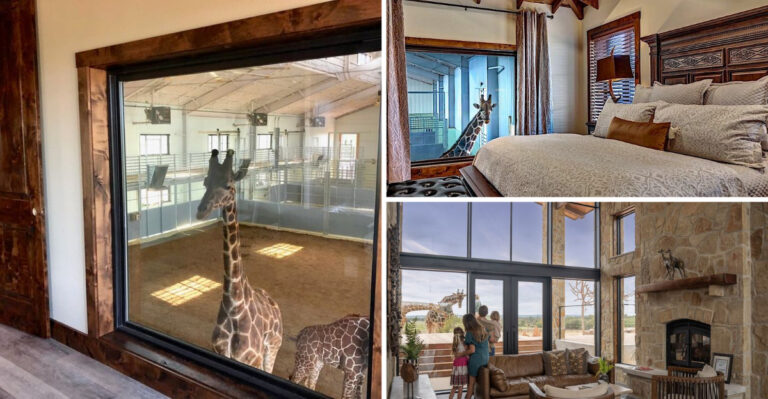 Wake Up With Giraffes Just Outside Your Room At This One-Of-A-Kind Texas Hotel