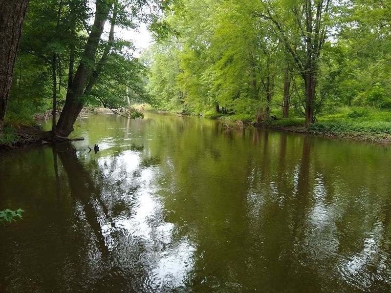 Walking Trails Along the Canal