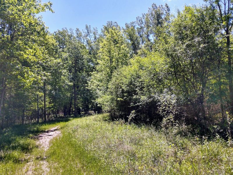 Walking Trails Perfect for a Quiet Escape