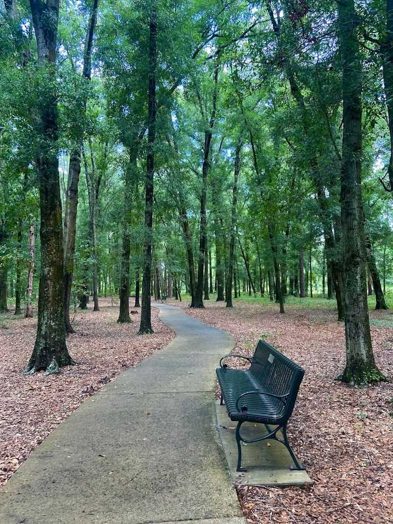 Walking Trails With Themes That Tell a Story